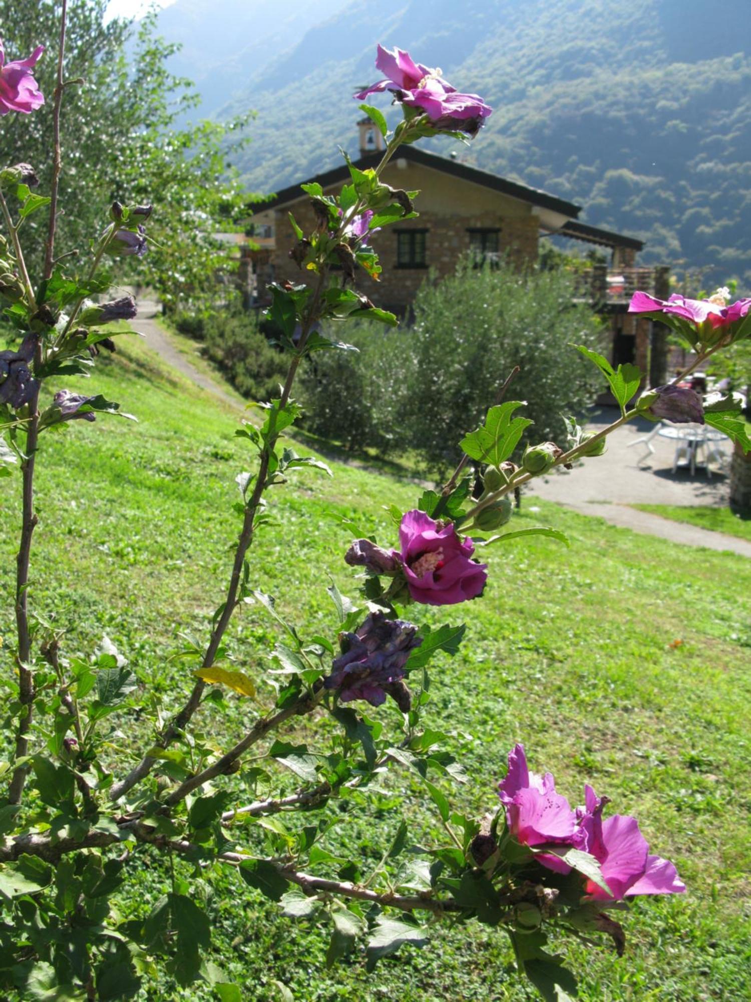 Chalet Della Rota มาโรเน ภายนอก รูปภาพ